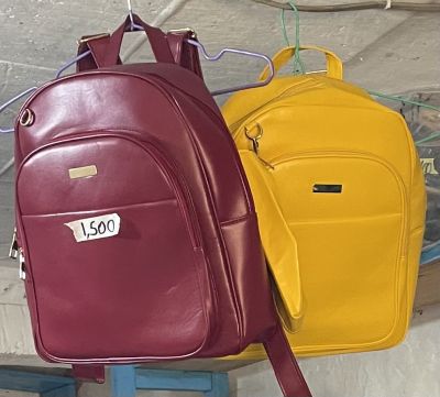 Back bag for school 2
