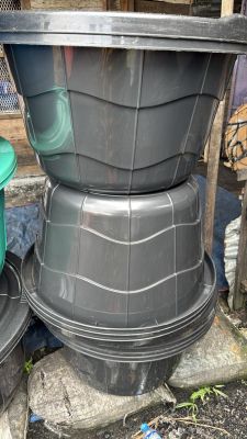 Bibas Check up board tub 1pc