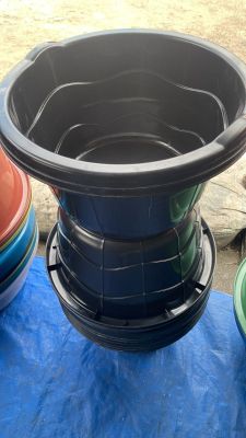 Black Medium tub (doz)