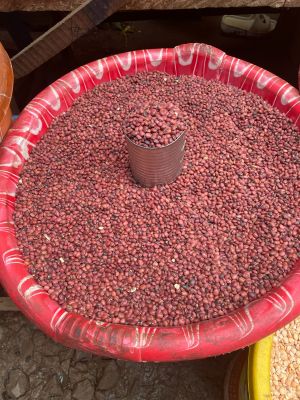 Brown Bean (Bag)