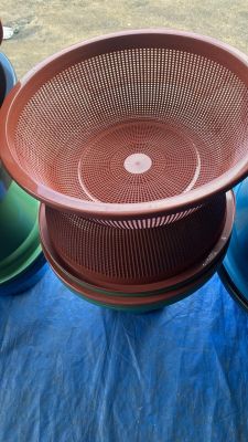 Largest Sifter (doz)