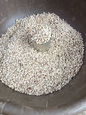 White Bean (Bag)