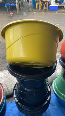 Mariam #1 Medium tub (doz)