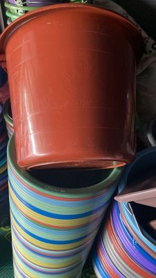 Mariam 20L bucket (doz)