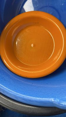 Taj Plaste plate (doz)